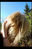hekla