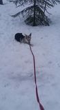 ^^Sanna^^